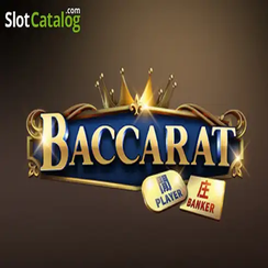 ব্যাকারেট C08 699 bet